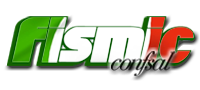 logo-fismic-confsal-color